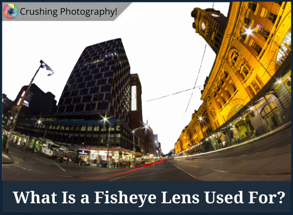 What Is a Fisheye Lens and What Does a Fisheye Lens Do? (Guide)