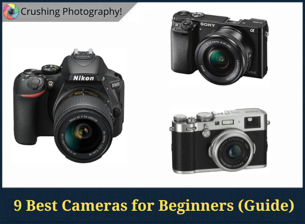 9 Best Cameras for Amateur Photographers 2024