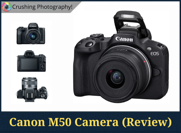 Canon M50 Review (2024) - Is This Mirrorless Camera Worth Buying?