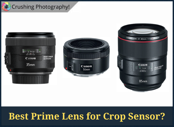 35mm vs 50mm vs 85mm: What Is the Best Prime Lens for Crop Sensor?